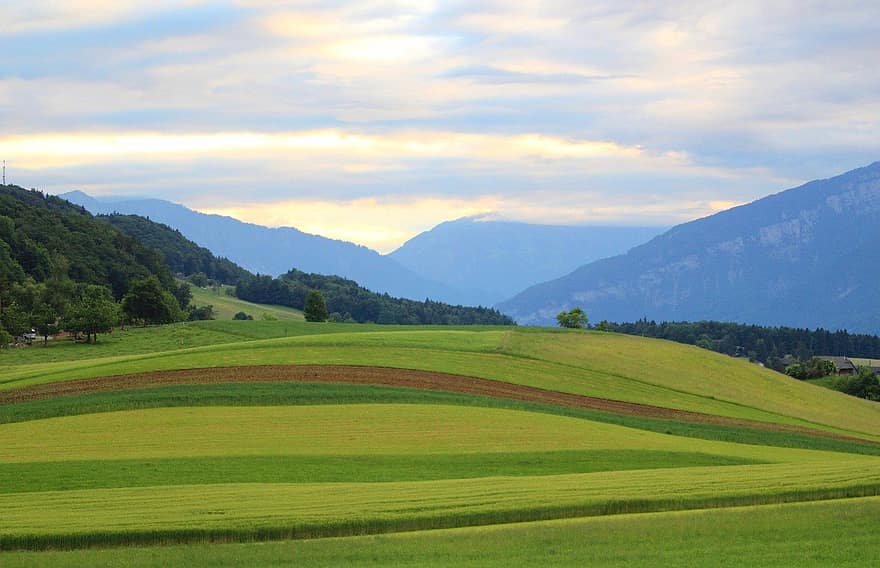 colline, Parco Naturale del Gantrisch, i campi, montagne, alberi, rurale, Altopiani bernesi, Svizzera, prato, natura, paesaggio