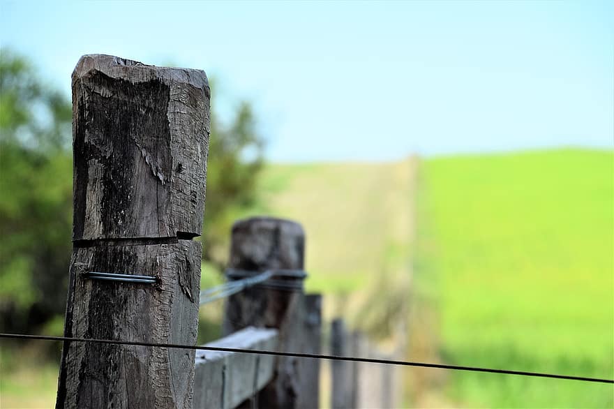 Fence, Field, Rural, Wooden Fence, Wire, Wood, Farm, Uruguay