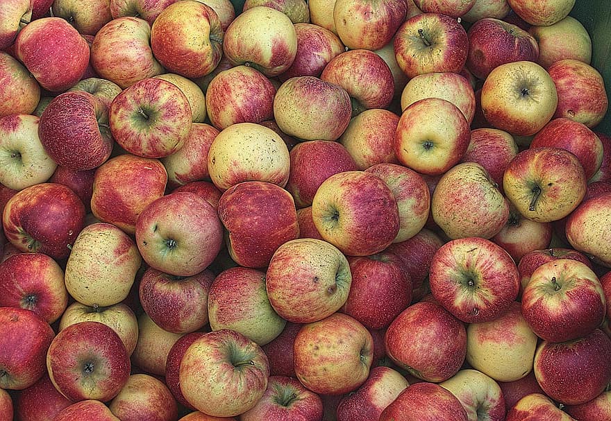 Äpfel, Früchte, Lebensmittel, frisch, gesund, reif, organisch, Süss, produzieren, Ernte