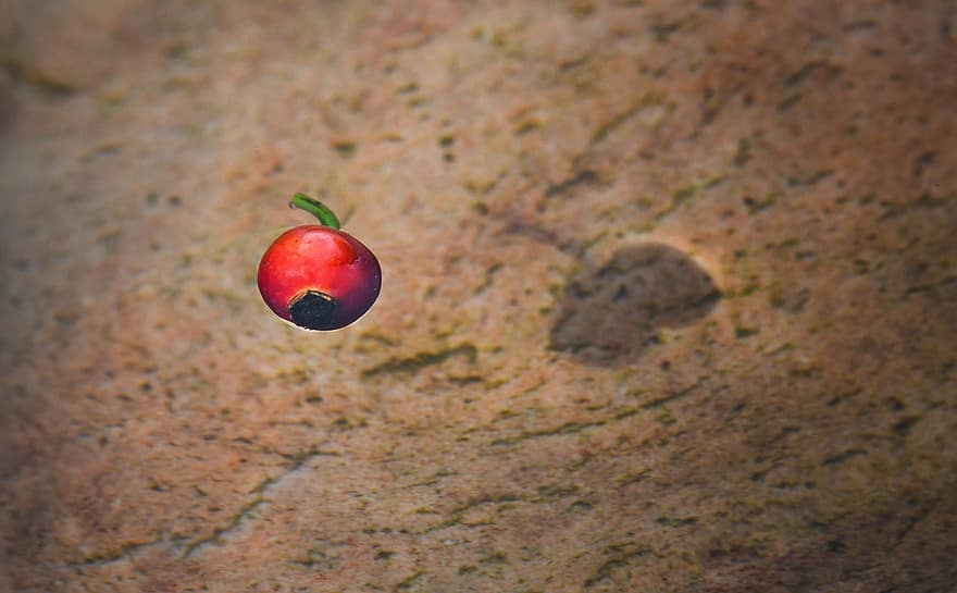 ягода горобини, Плаваюча ягода, води