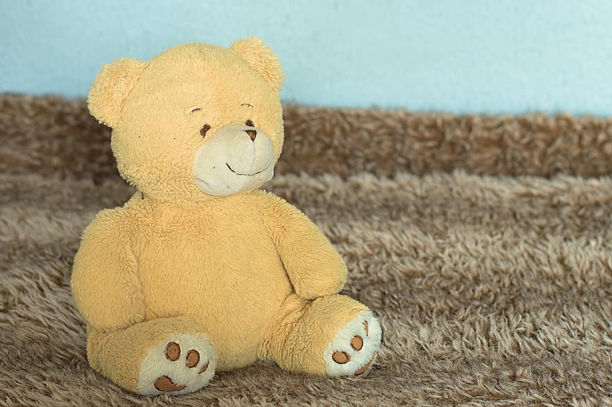 Teddy Bear, Plush, Toy, Cuddly Toy, Childhood, Stuffed Animal, Soft, cute, fluffy, softness, indoors