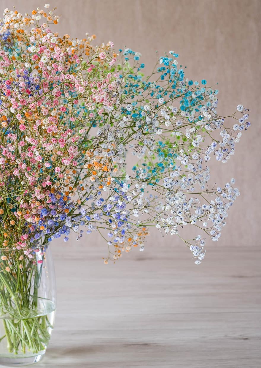 bloemen, witte bloemen, achtergrond, ornament, rekwisieten, gypsophila, boeket, roze, paars, Purper, blauw