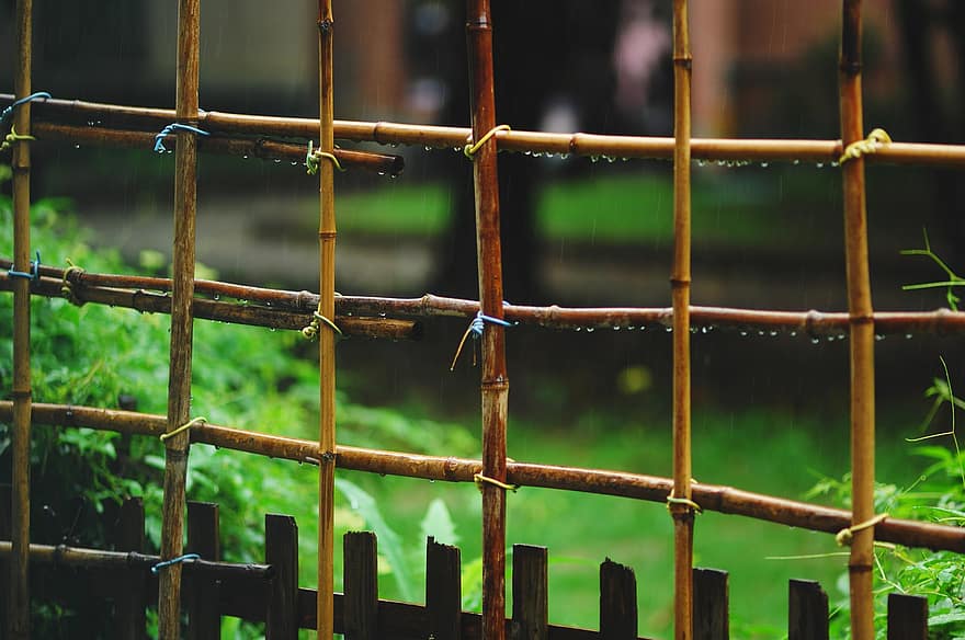 mandril, bambu, cerca, plantar, de madeira, chuva, molhado, fechar-se, cor verde, madeira, metal