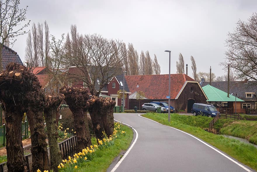 田舎道、オランダ、タウン、村、風景、春、シーダム、自然、建築、田園風景、建物の外観