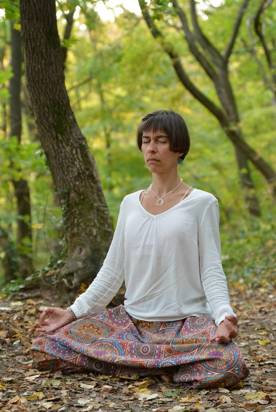 Lotus Position, Meditation, Zazen, Zen, Yoga, Wellness, Mindfulness, Leisure, Nature, Outdoors, Woman