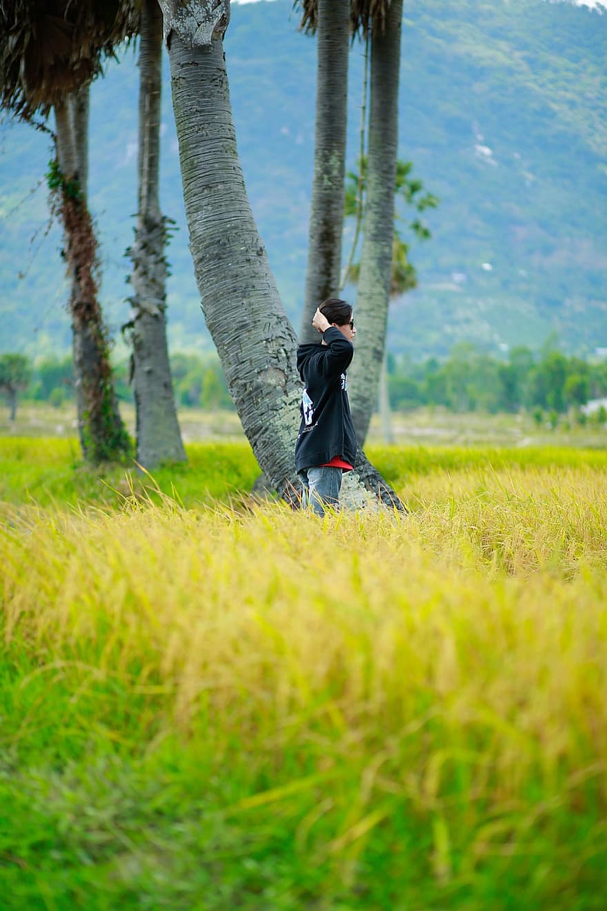 Man, Paddy, Field, Rice, Mountain, Nature, Landscape, An Giang, Thot, summer, grass