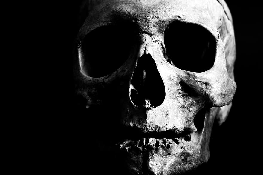 Humain, crâne, squelette, OS, tête, mort, morte, terrifiant, rendre, effrayant, Halloween