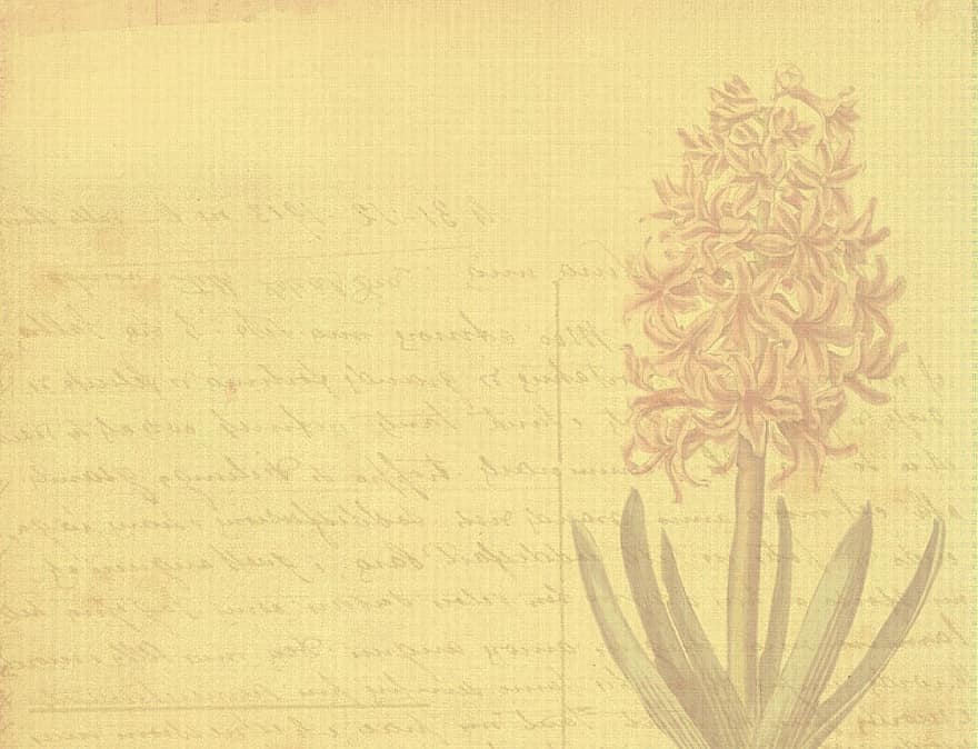 fundo, antiquado, retrô, flor, cartão postal, mensagem