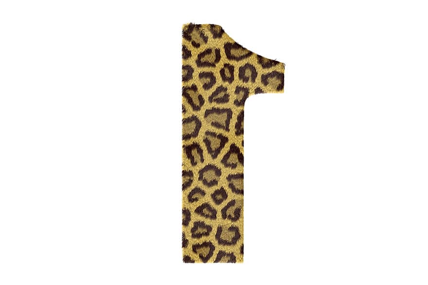 uno, Uno, numero, modello, struttura, leopardo, testo