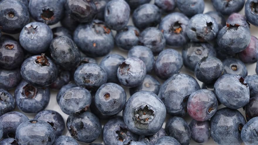 blåbær, bær, frukt, frisk frukt, friske bær, friske blåbær, nærbilde, mat, friskhet, bakgrunn, blå