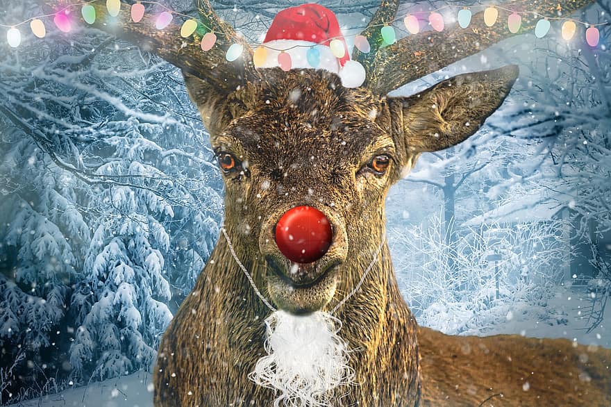rénszarvas, hó, Karácsony, Lámpák, Rudolph, szarvas, santa sapka, téli, Karácsonyi fények, erdő, ünneplés