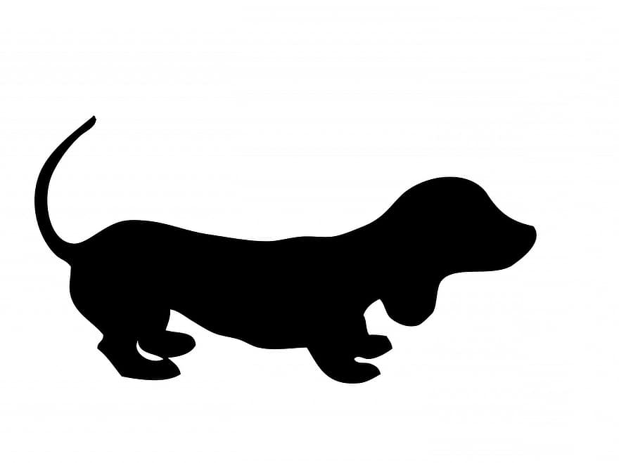 hond, teckel, puppy, schattig, dier, huisdier, hoektand, zwart, silhouet, kunst, wit