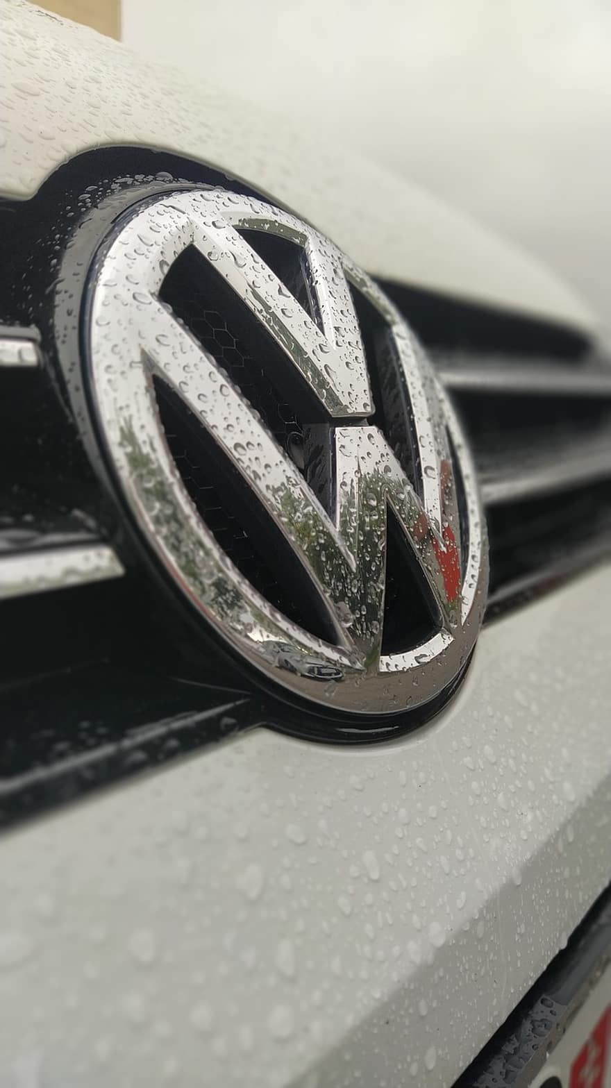 coche, vehículo, logo, Volkswagen, frente, vw, firmar, lluvia