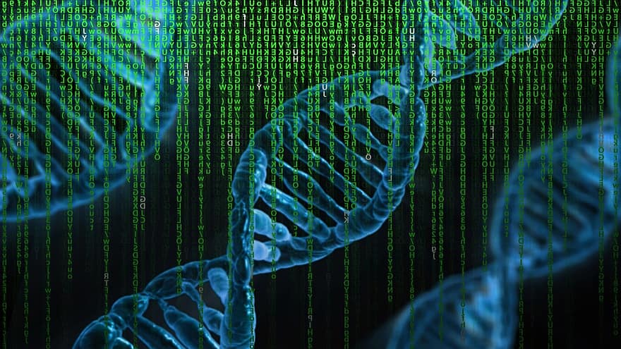 ADN-ul, matrice, genetică, Control, biologie, avertizare