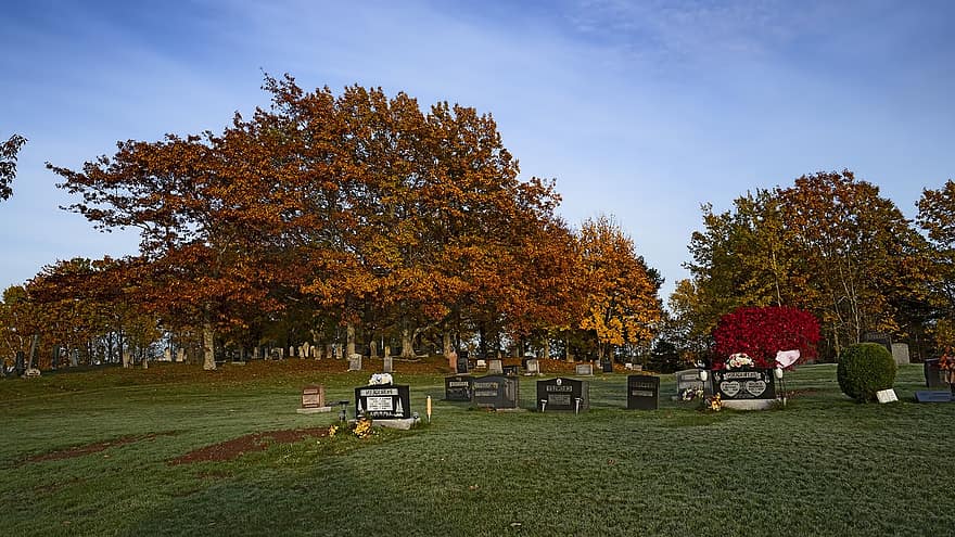 cimitir, toamnă, teren de înmormântare, copaci, copac, frunze, sezon, galben, iarbă, multi colorate, octombrie
