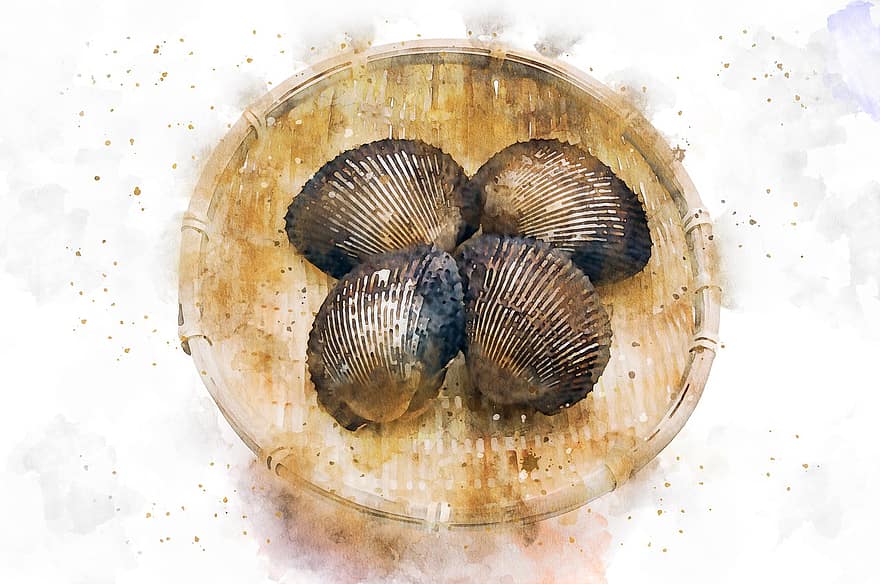 Scallop, Seafood, Watercolor, Painting, Decoration, Artistic, Design, Brush, Post, Cook, Wallpaper