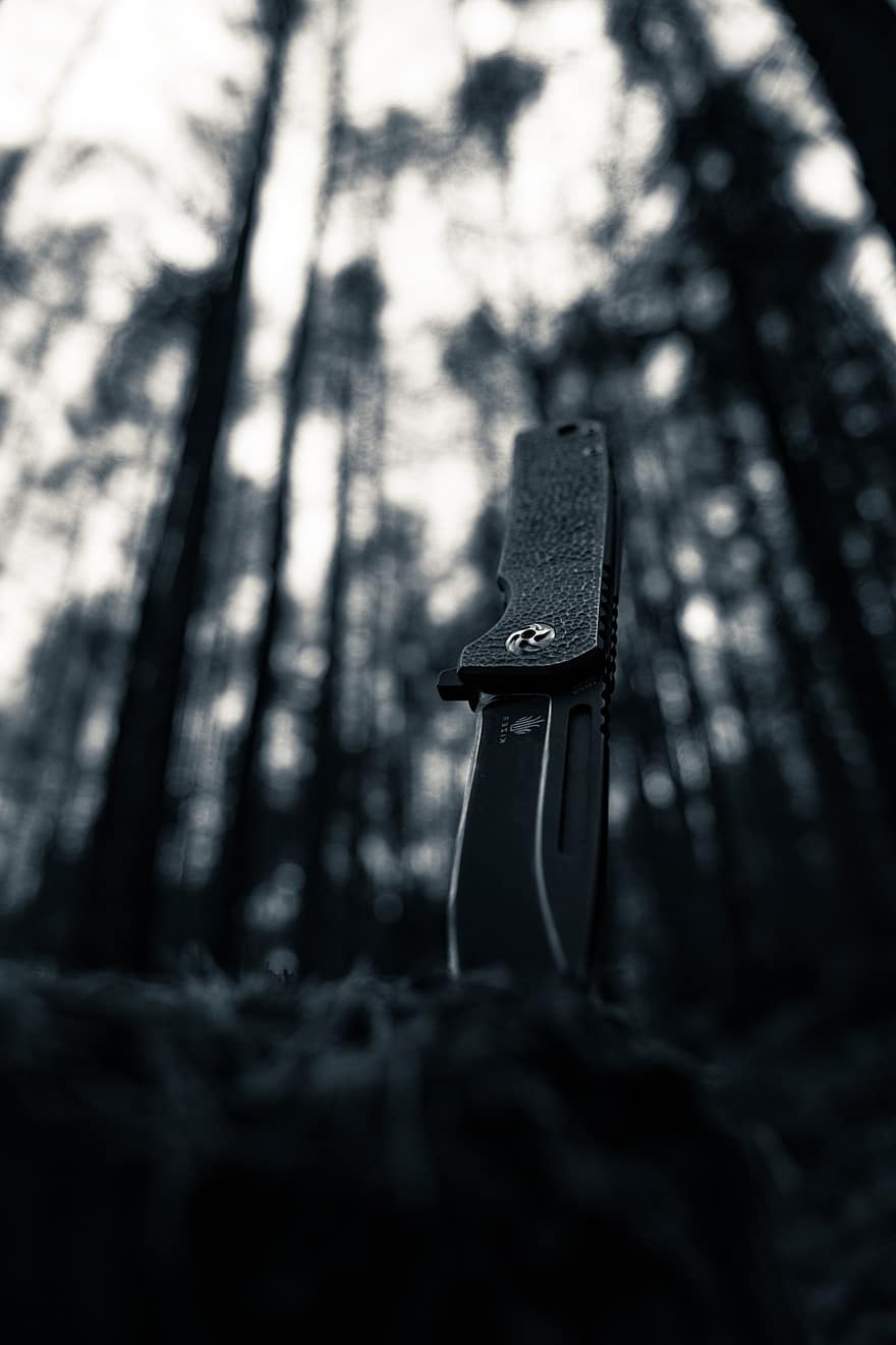 ganivet, bosc, naturalesa, primer pla, acer, metall, aventura, equipament, arbre, blanc i negre, gestionar