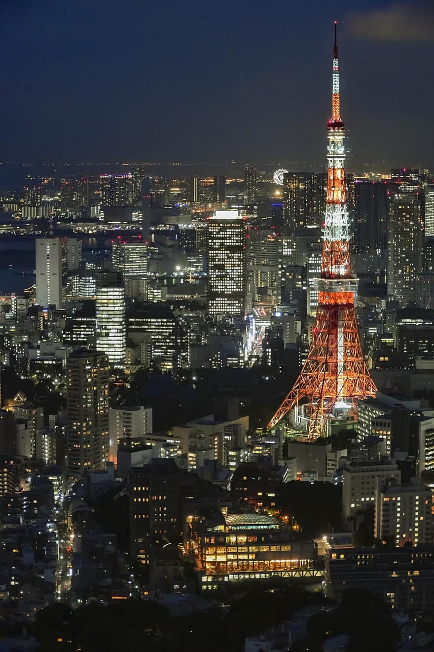 toren, tokyo, nacht, stad, lichten, verlicht, gebouwen, wolkenkrabbers, downtown, metropolis, stedelijk