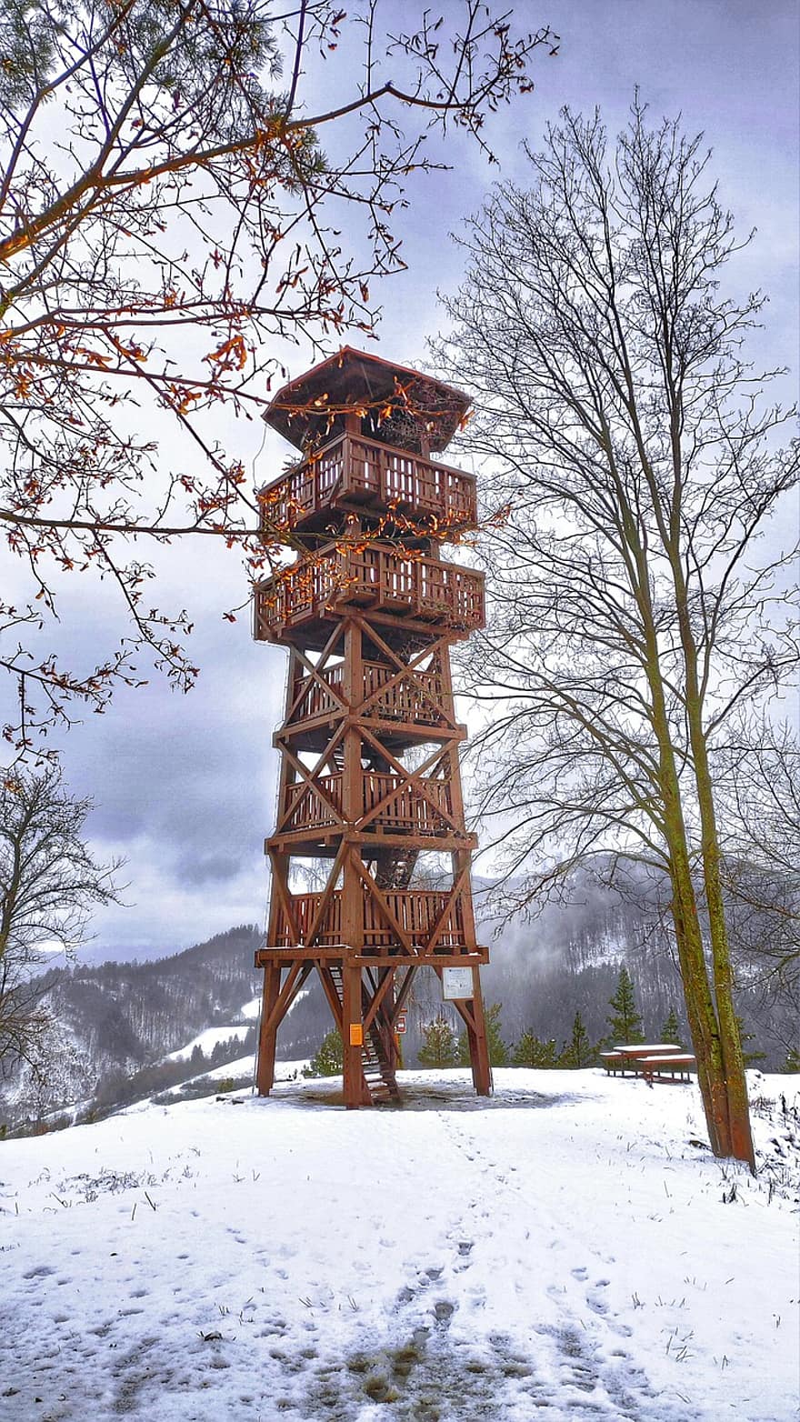 木造タワー、冬、森林、山、展望台、木材、木製、外を見る、火の見櫓、構造、霜
