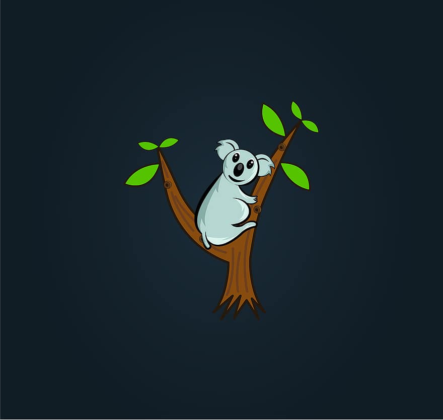 koala, pe, copac