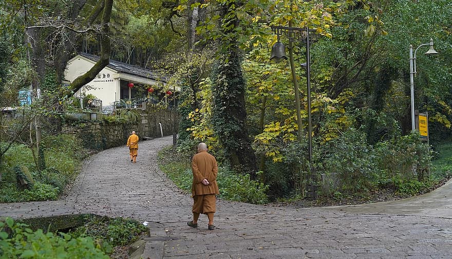 vienuoliai, kelias, Putuo kalnas, budistai, budizmas, vaikščioti, dangos, lauke, zhoushan