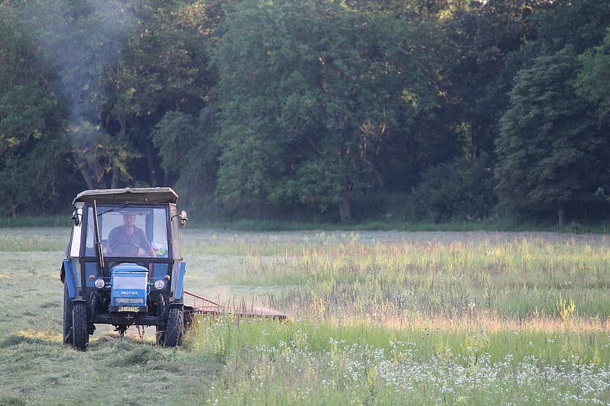 innhøsting, hay making, gresskutting, traktor, gammel, jordbruk, eng, kutte opp, maskin, sommer