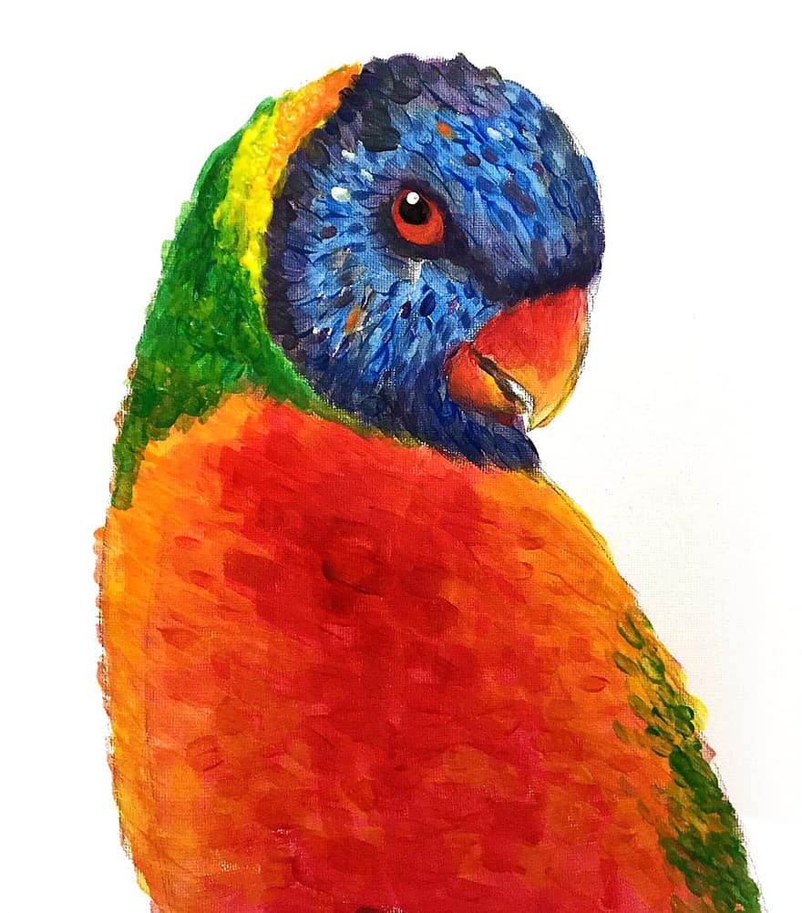 lorikeet, pappagallo, uccello, colorato, Lori, rosso, blu, colore, verde, giallo, ritratto