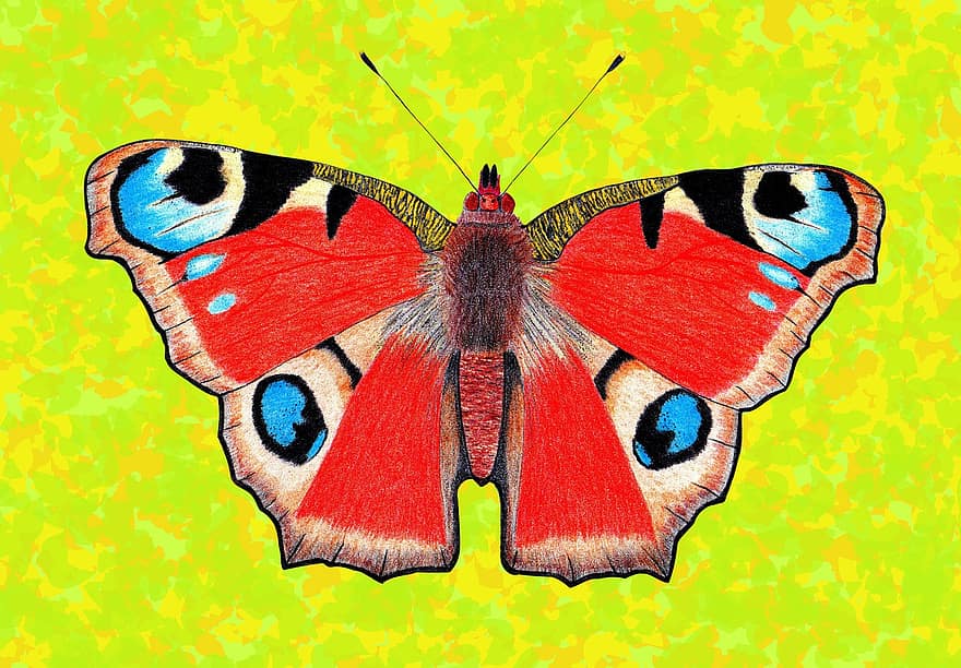 farfalla, farfalla di pavone, primavera, insetto alato, Edelfalter, insetto, ali di farfalla, fauna, avvicinamento, disegno, dipingere