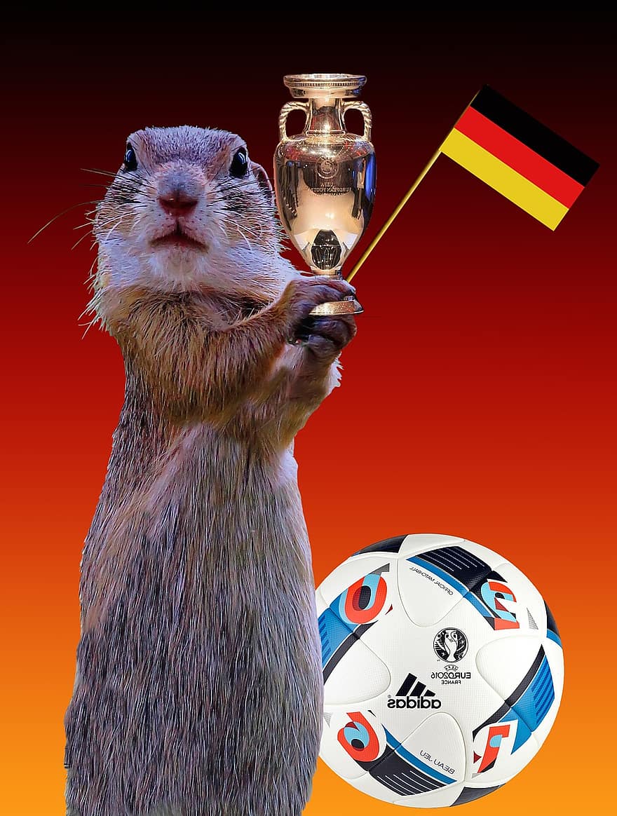 2016, Tyskland flagg, kopp, europeisk mesterskap, flagg, Tyskland, ball, Fotball, sport, europeisk mester, surikat