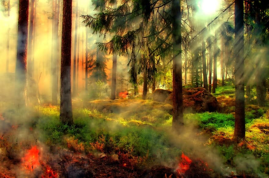 Styggkaerret, Image Editing, Hdr, Filter, Photoshop, Fairy Tales, Fairy Tale Forest, Reserve, Burn, Fire, Smoke