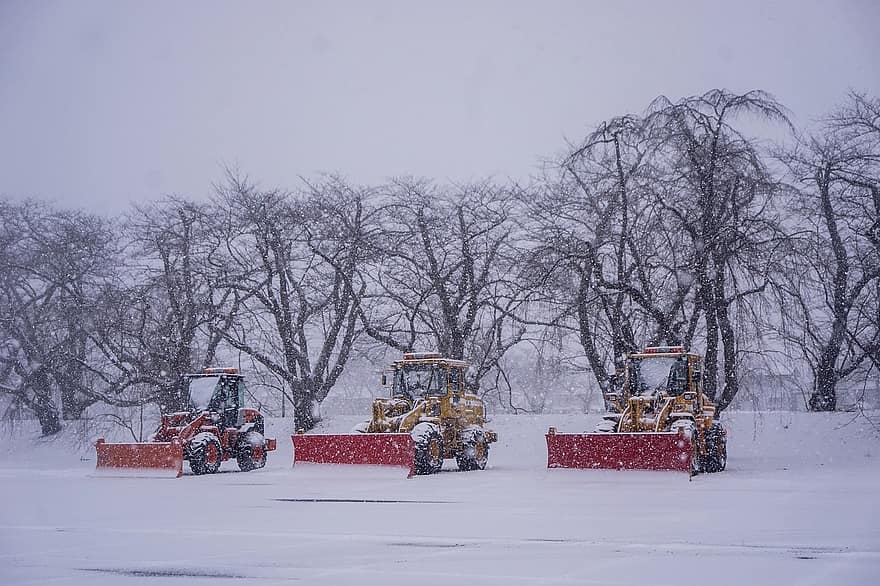 traktorer, snefald, vinter, sne, kold, jul, sneplov, maskineri, bulldozer, transportmidler, arbejder
