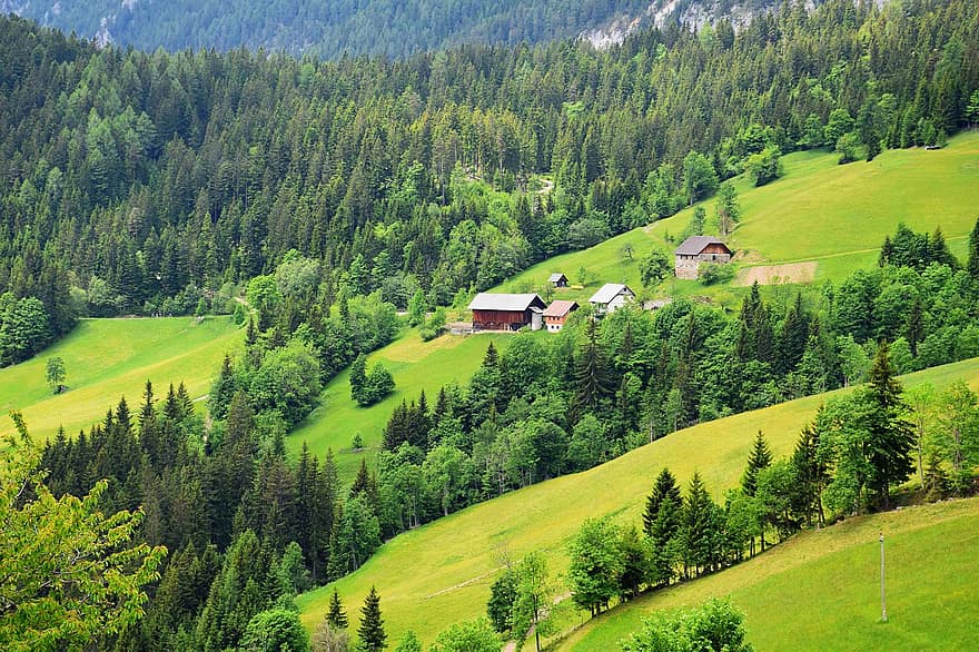 vysokohorský, Alpy, stromy, kopců, kabiny, chaty, domy, scénický, Příroda