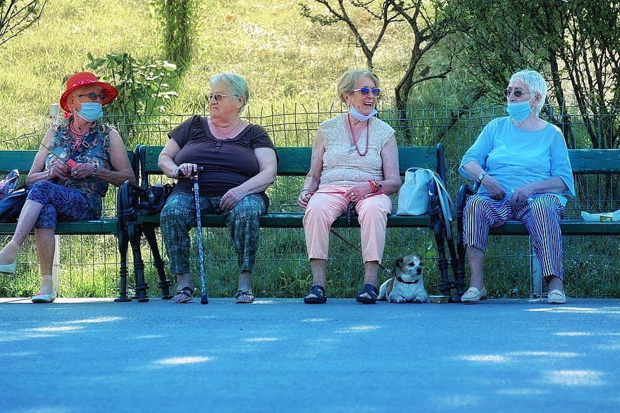 Дами, възрастен, пейка, парк, стари жени, на открито, природа, алея, коронавирус, маски, куче