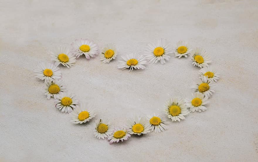 Happy Mothers Day, Heart, Daisy, Blossoms, Background, Sand, Flower Heart, Love, Thanks To Congratulations, Get Well Soon, Date Of Birth