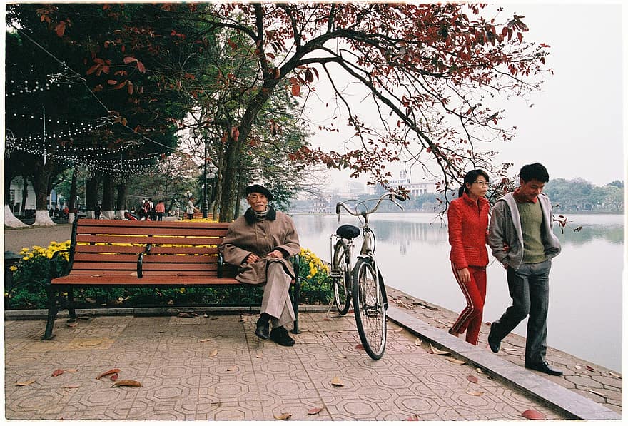 공원, 호수, 하노이, 베트남, 사람들, 자전거, 벤치, 옥외, 도시의