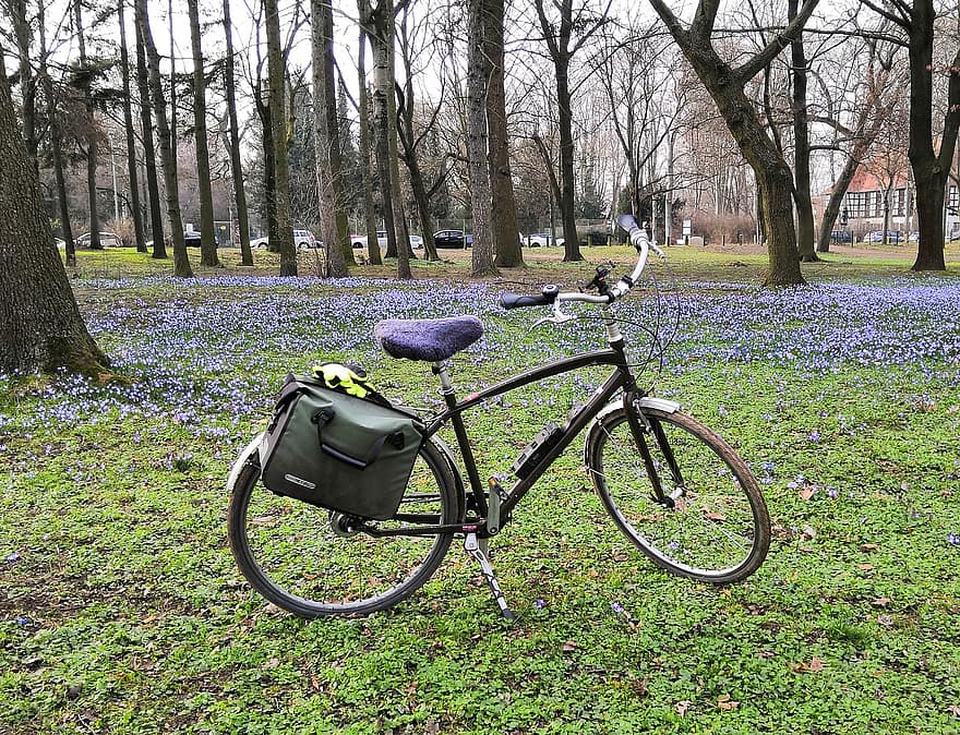 bicicletă, iarbă, parc, vehicul, flori salbatice, luncă, camp, copaci, natură, verde, Wiese