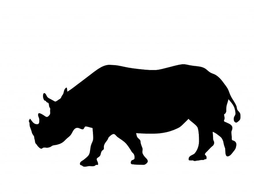 rinoceronte, animale, nero, silhouette, arte, bianca, sfondo, bestia