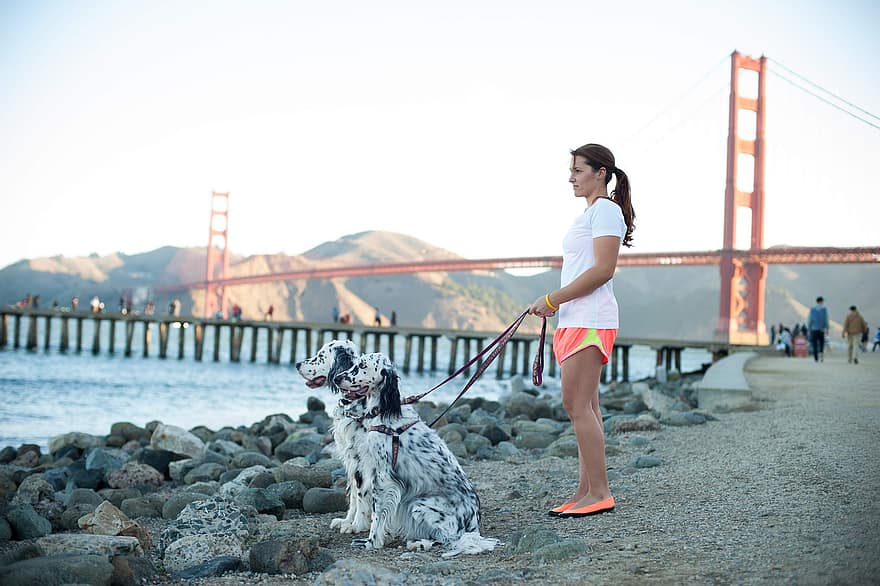 Woman, Dogs, Outdoors, Bridge, Coast, Pets, Girl, Female, Leisure, Bay, Oakland