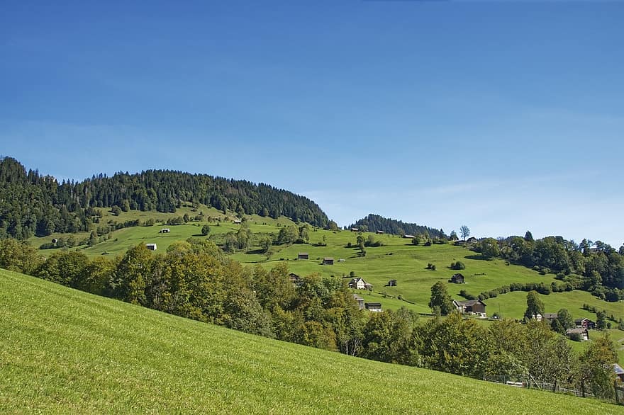 Швейцария, кантон на св, Алпи, пейзаж, Туртал, къщи, сграда, хълм, гора, дървета, тревни площи