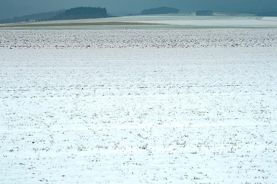 поле, снег, зима, природа, луг, холодно, мороз, Snowscape, пейзаж, Германия