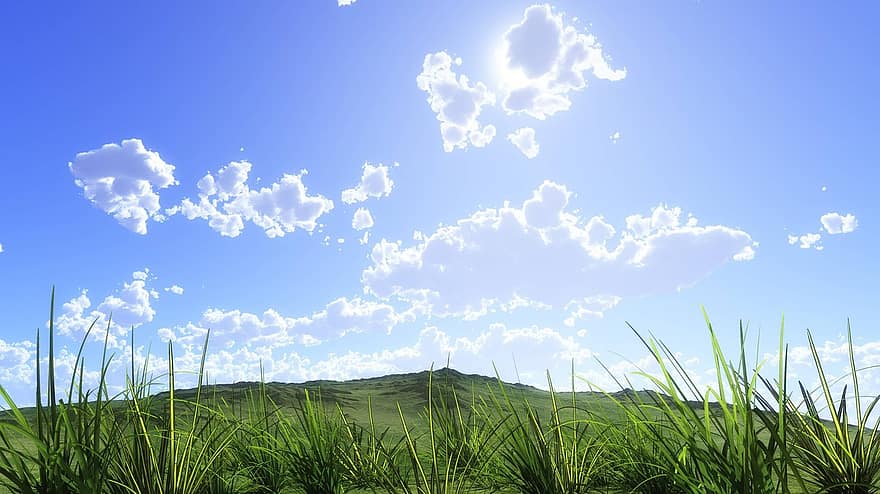 натуральный, лист, трава, синее небо, облако, земной шар, солнце, летом, луг, осень, пейзаж