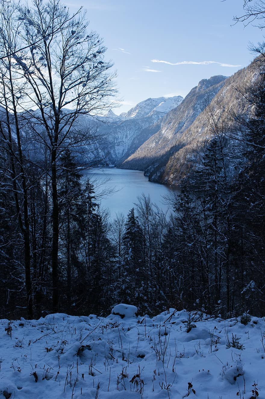 musim dingin, danau, alam, danau raja, bavaria, salju, pemandangan, gunung, pohon, hutan