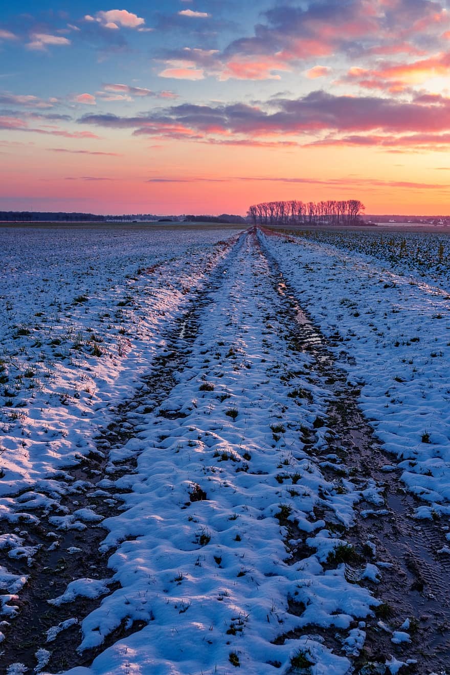 Snow, Field, Sunset, Dusk, Twilight, Horizon, Away, Road, Tire Tracks, Hoarfrost, Snowy