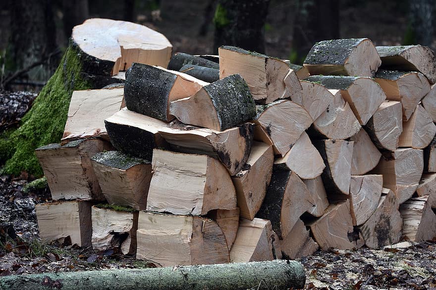 kayu, kayu bakar, tumpukan, bahan bakar, beech, pohon, hutan, tumpukan kayu, log, industri kayu, batang pohon
