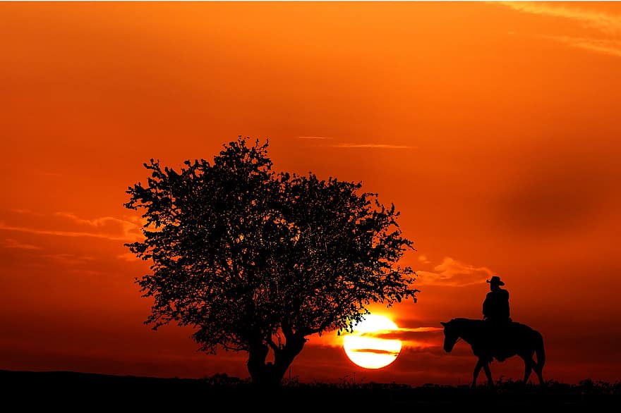 posta de sol, cowboy, silueta, arbre, passejades a cavall, horitzó, naturalesa, taronja, cavall, cel