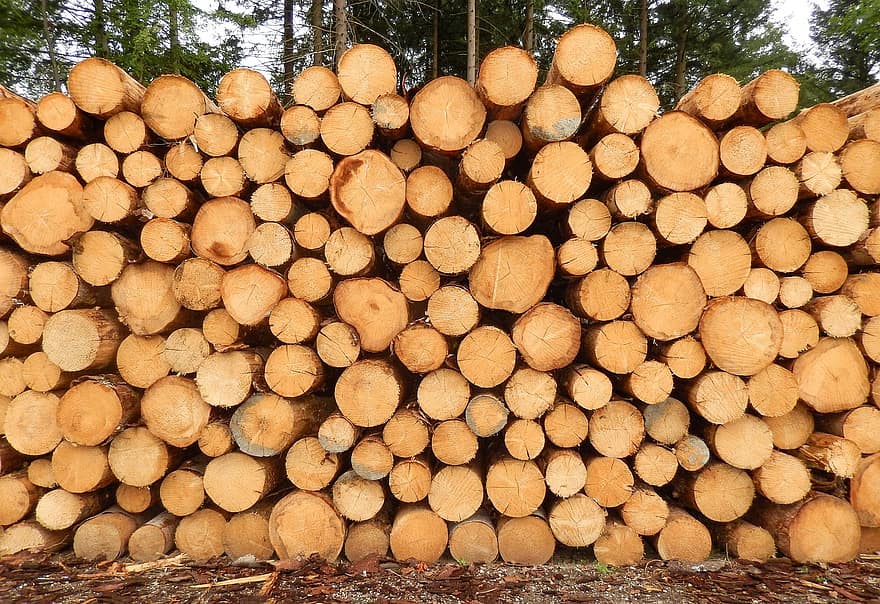 ρητίνη, Osterode, κορμοι δεντρων, ξύλο, holzstapel, δασοκομία, στοιβάζονται, δάσος, βιομηχανία ξύλου