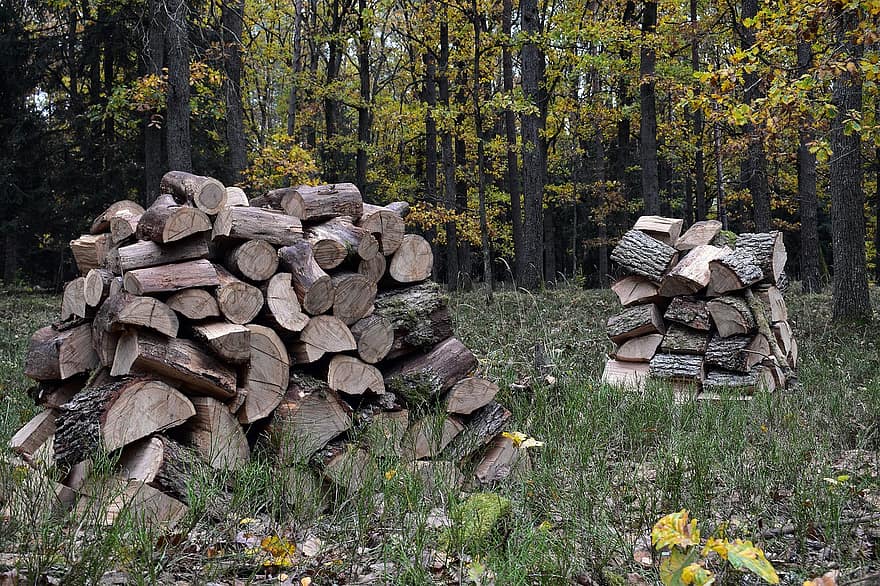 木材、ログ、ボレ、薪、木材の断片、ウッドパイル、木製、林業、テクスチャ、森林伐採