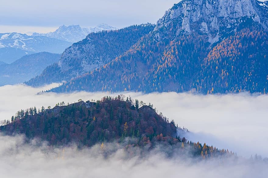 Clouds, Above The Clouds, Mountains, Trees, Forests, Fall, Mountain Landscape, Autumn Landscape, Fog, Nature, Haze
