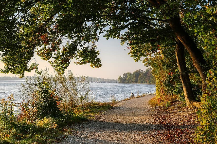 trees, lake, path