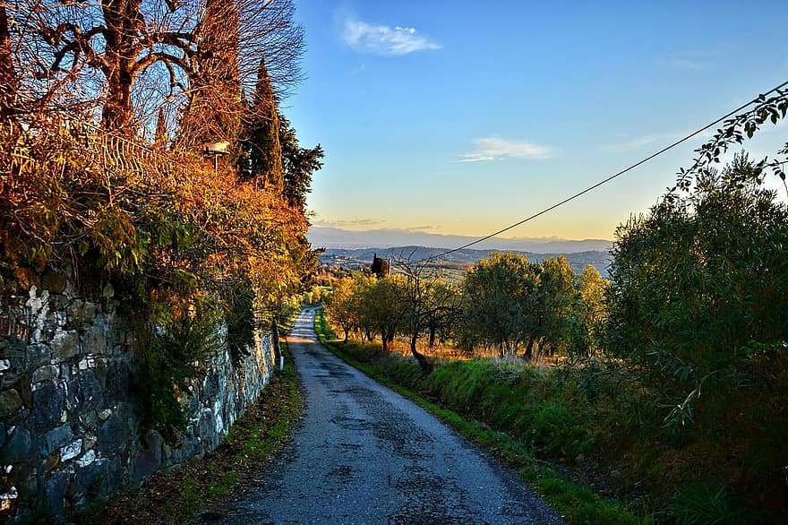 florence, ceļš, saulrieta, Toskāna, Itālija, Via Delle Tavarnuzze, rudenī, lauku ainas, koks, mežs, ainavu